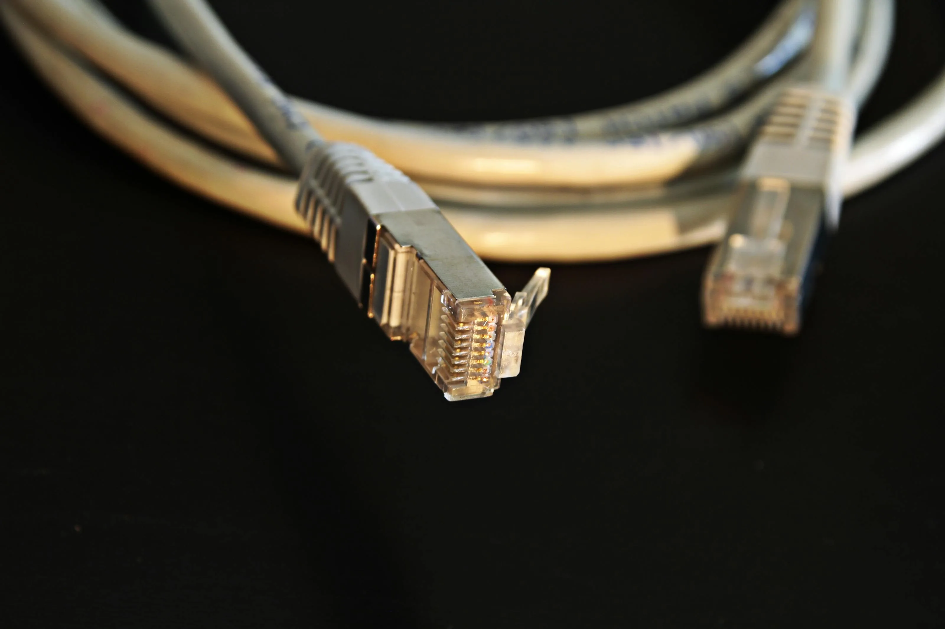 Detailed close-up of a network Ethernet cable showing connectors on a black background.